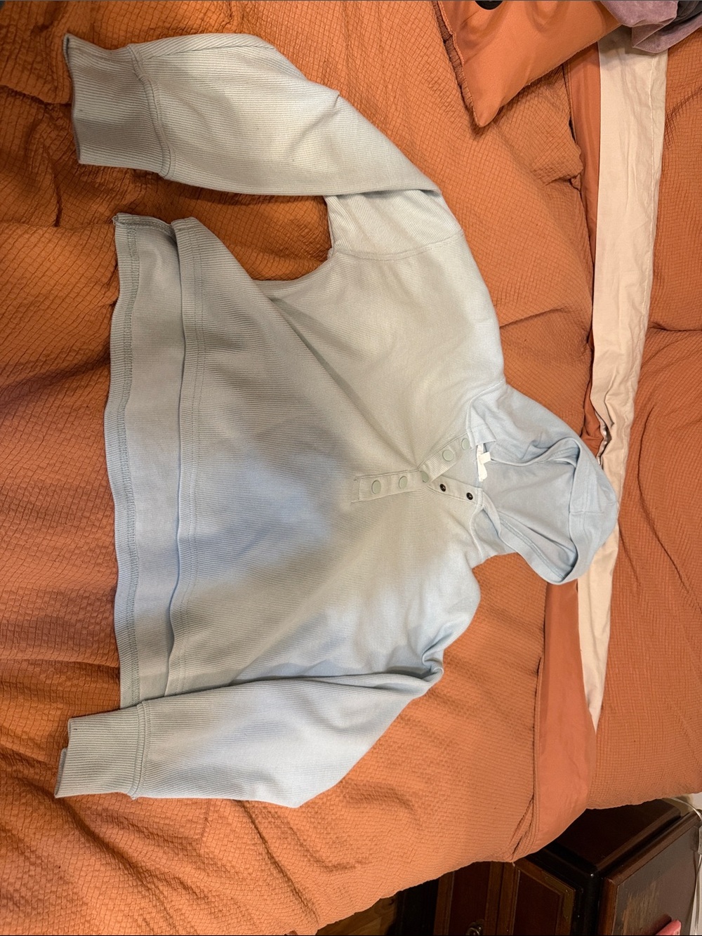 Hippie Rose Cropped Hoodie